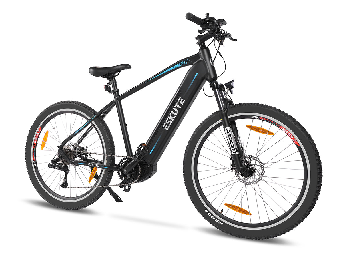 Netuno Pro Electric Mountain Bike